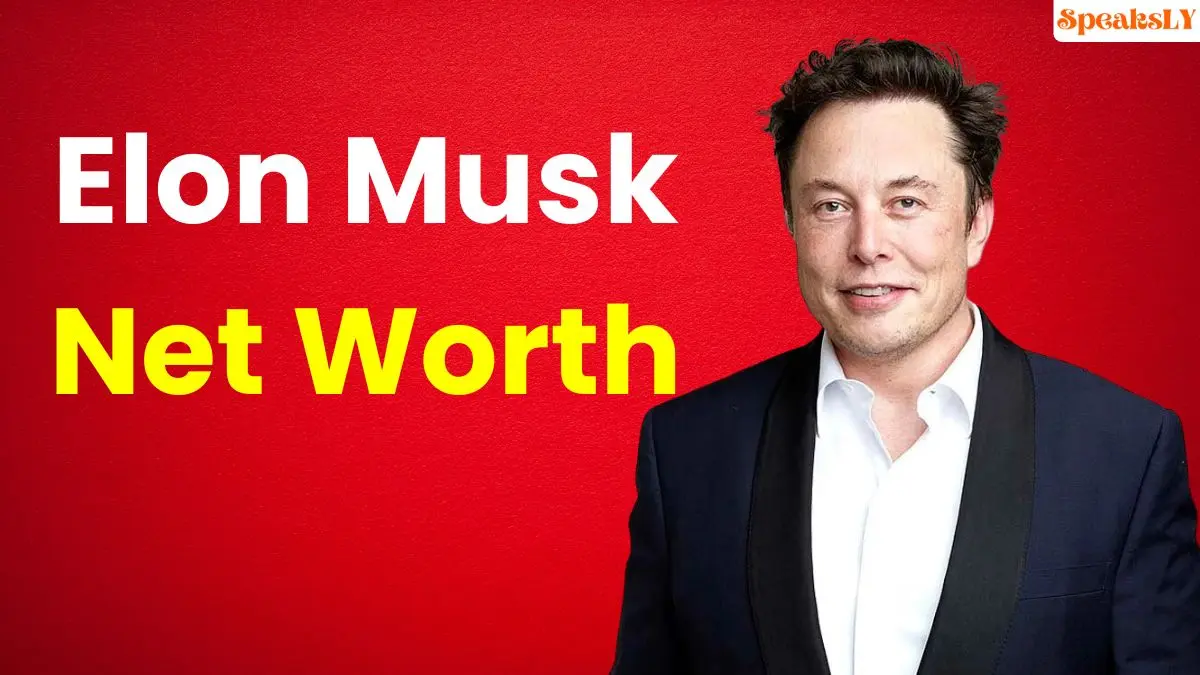 Elon Musk's Net Worth Drops to $246 Billion: Tesla Stock Struggles Amid Market Volatility