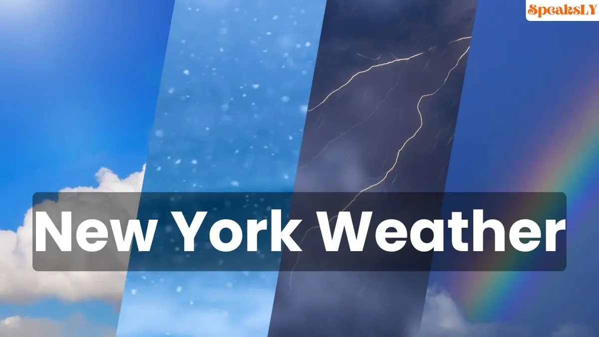 Weather New York: New York Faces Record Dry Fall and Elevated Fire Risks Amid Unusual Weather Patterns