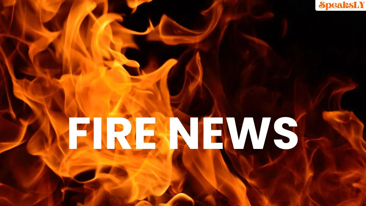 Pune Fire News: Massive Blaze at Library in Navi Peth, Firefighters Rush to Scene