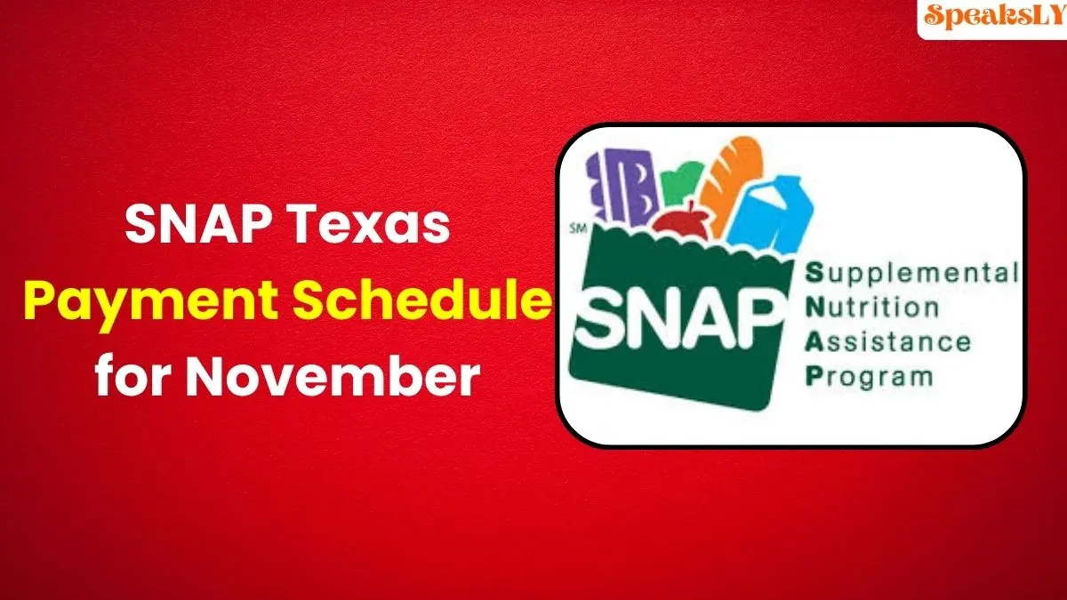 SNAP Texas Payment Schedule for November 2024 When Will Food Stamp