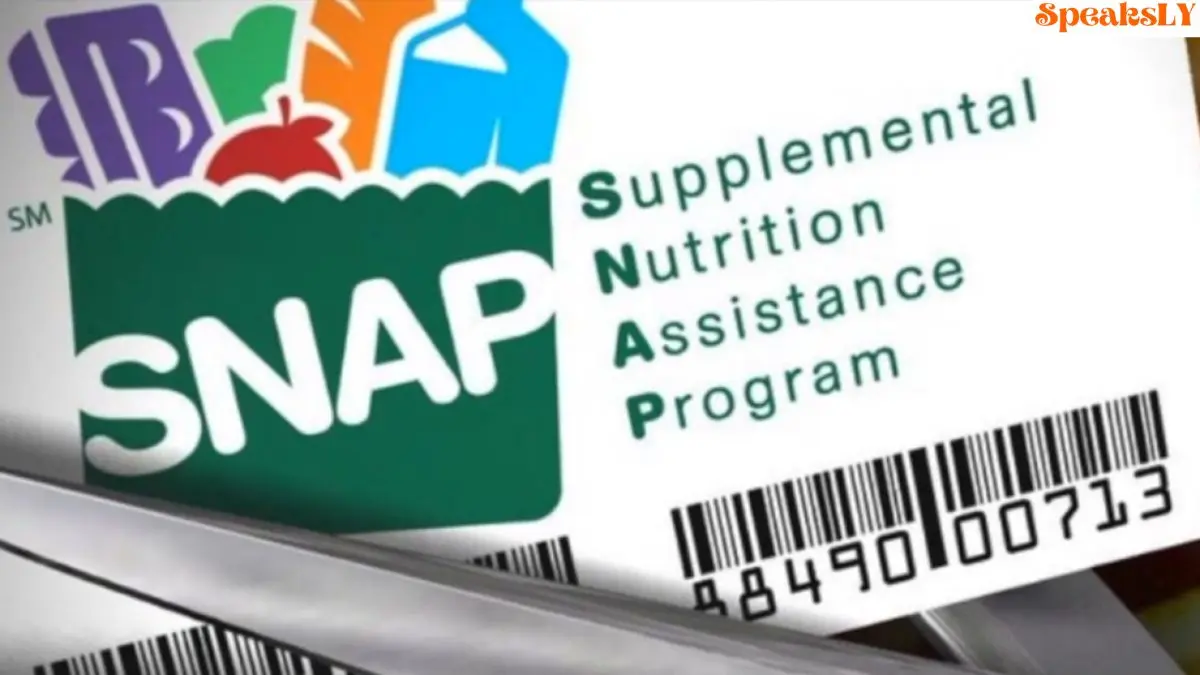 Florida SNAP Recipients Eligible for Food Replacement After Hurricane Milton