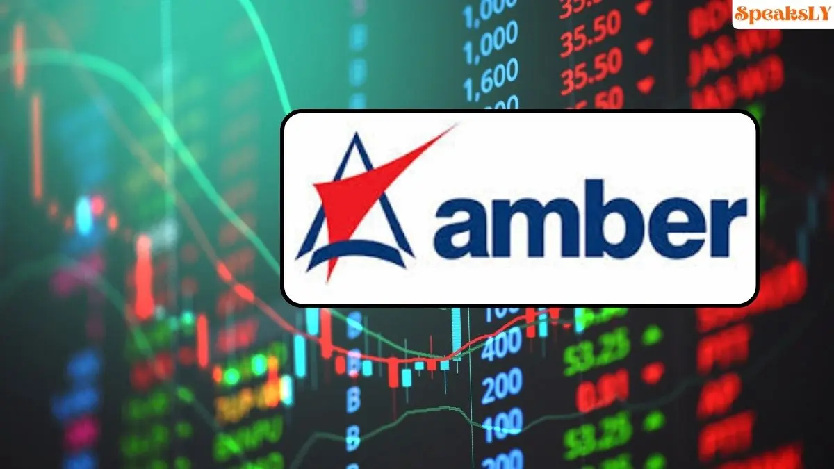 Amber Enterprises Shares Surge to All-Time High After Strong Q2 Performance