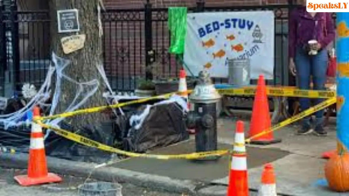 Brooklyn’s Beloved Bed-Stuy Aquarium Paved Over by DEP Officials, Sparks Community Outcry