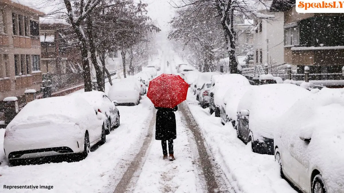 Rare Snowfall Turns Hawaii’s Mauna Kea into a Winter Wonderland