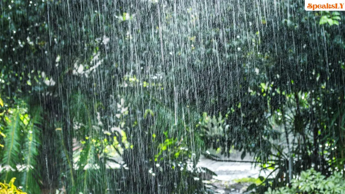 Maharashtra Rain Update: Rain Likely to Return in Parts of the State from Today