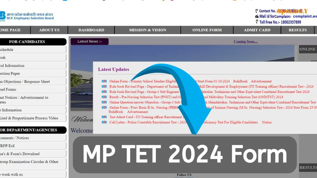 MP TET 2024: Application Process for Primary Level Exam Begins, Apply Before October 15