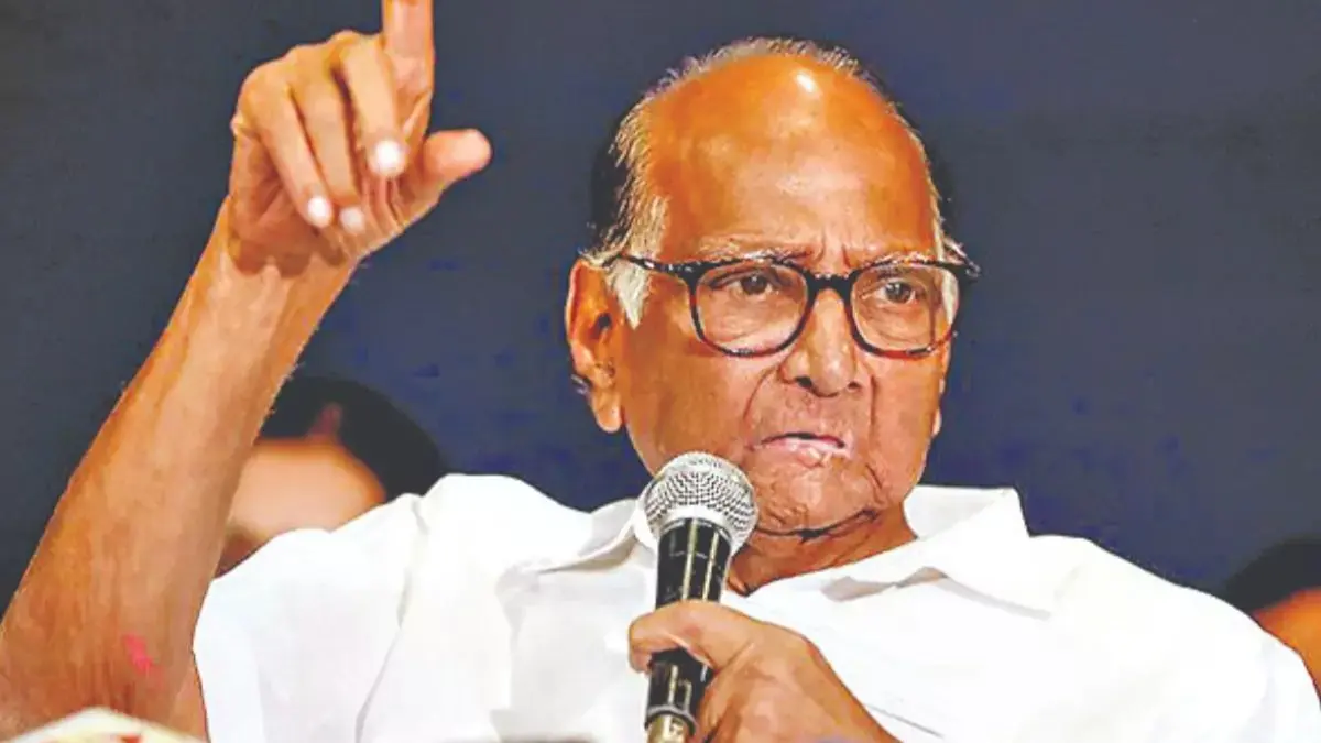 Sharad Pawar NCP: Surge in Candidates for Assembly Elections as 1,280 Interviews Conducted in Pune