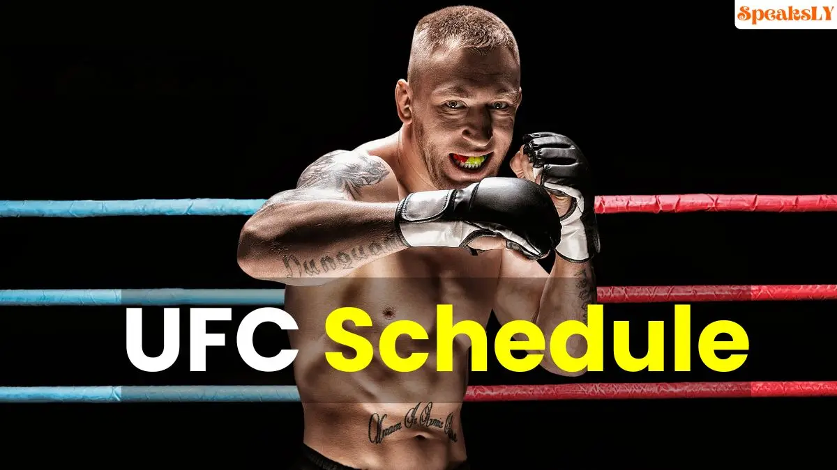 UFC Schedule: Upcoming UFC Matches for November and December 2024