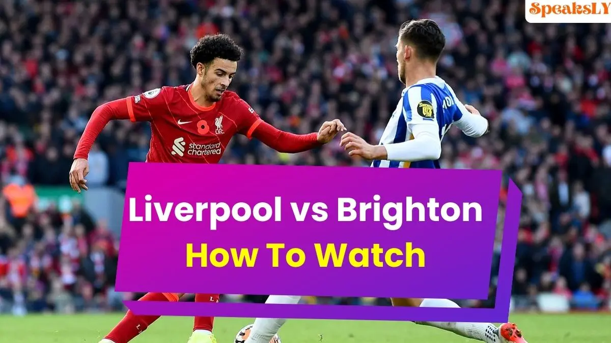 Liverpool vs Brighton Live: How To Watch, Live Stream, Start Time, and More