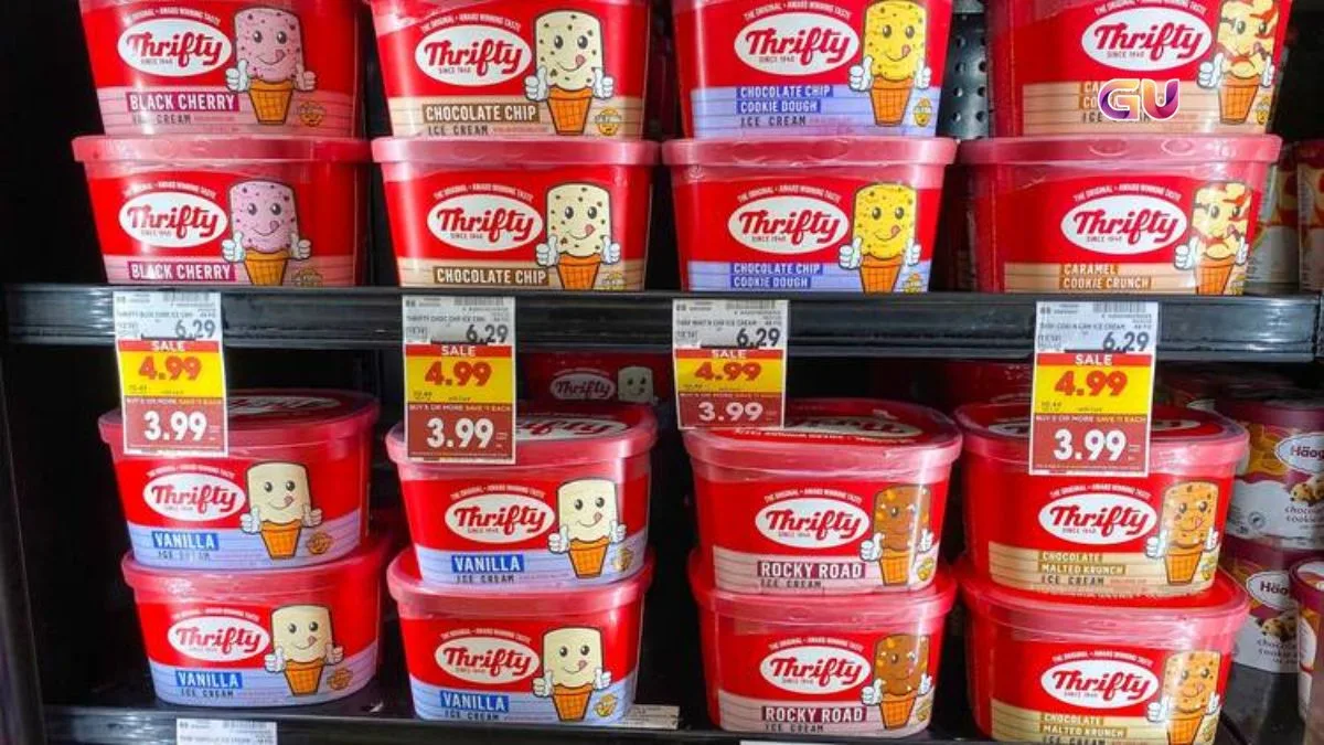 Ice Cream Chain Closing 500 Stores
