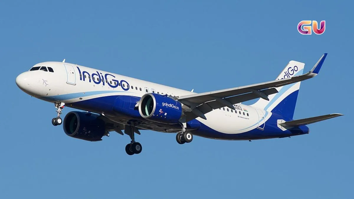 IndiGo Q4 Results