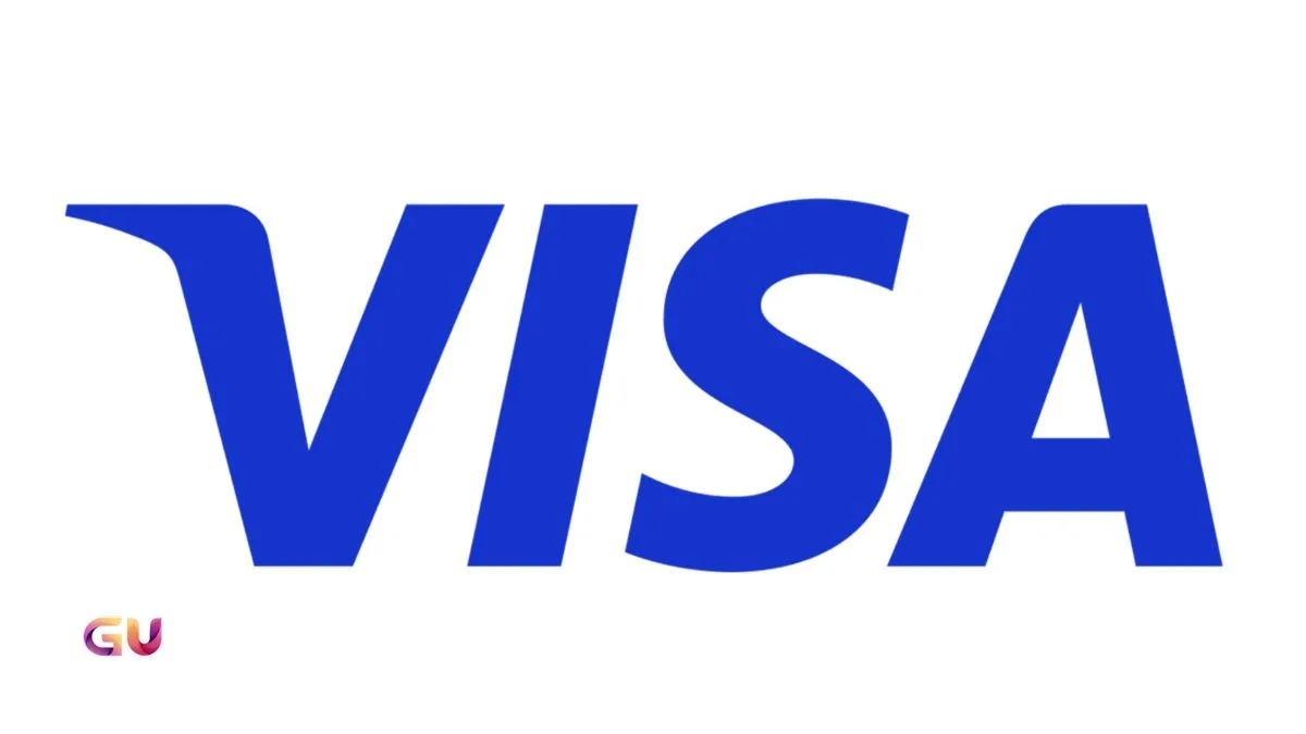Visa Stock