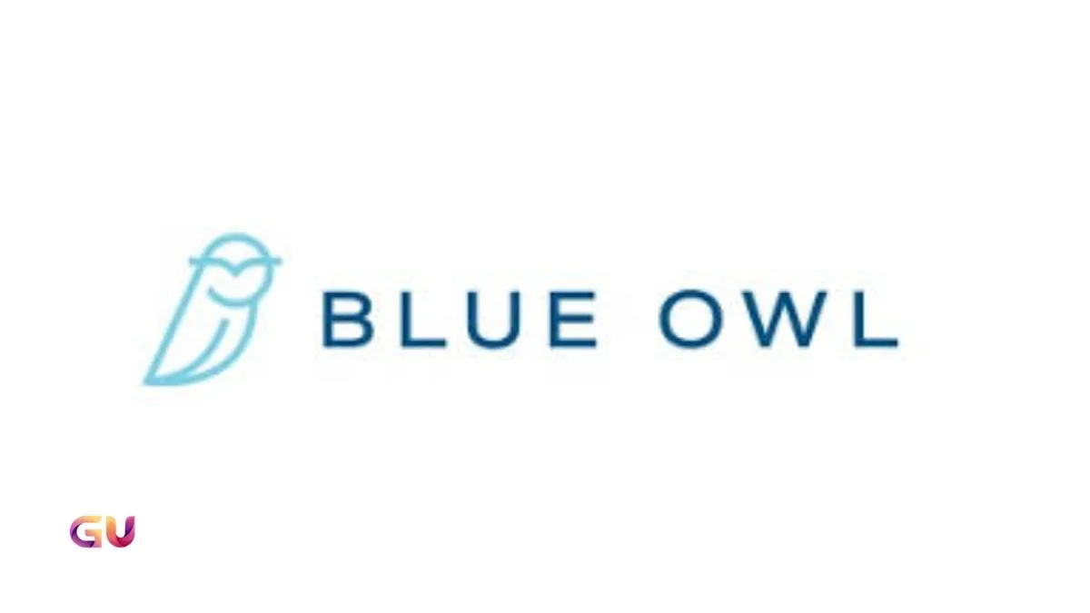 Blue Owl