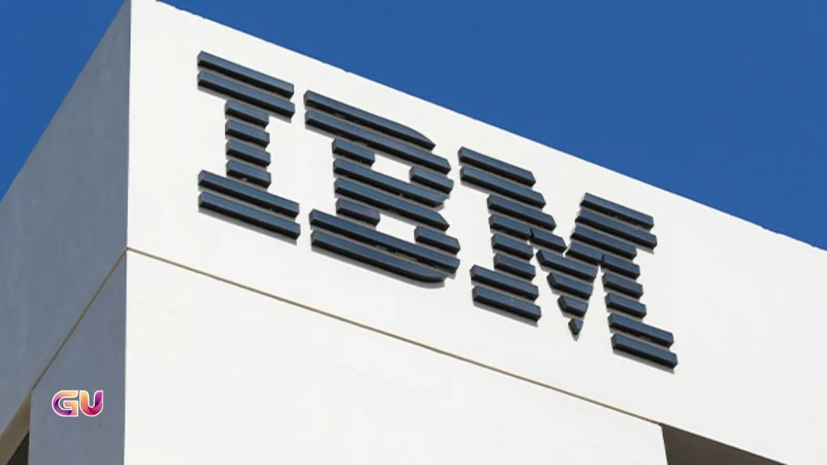 IBM Stock